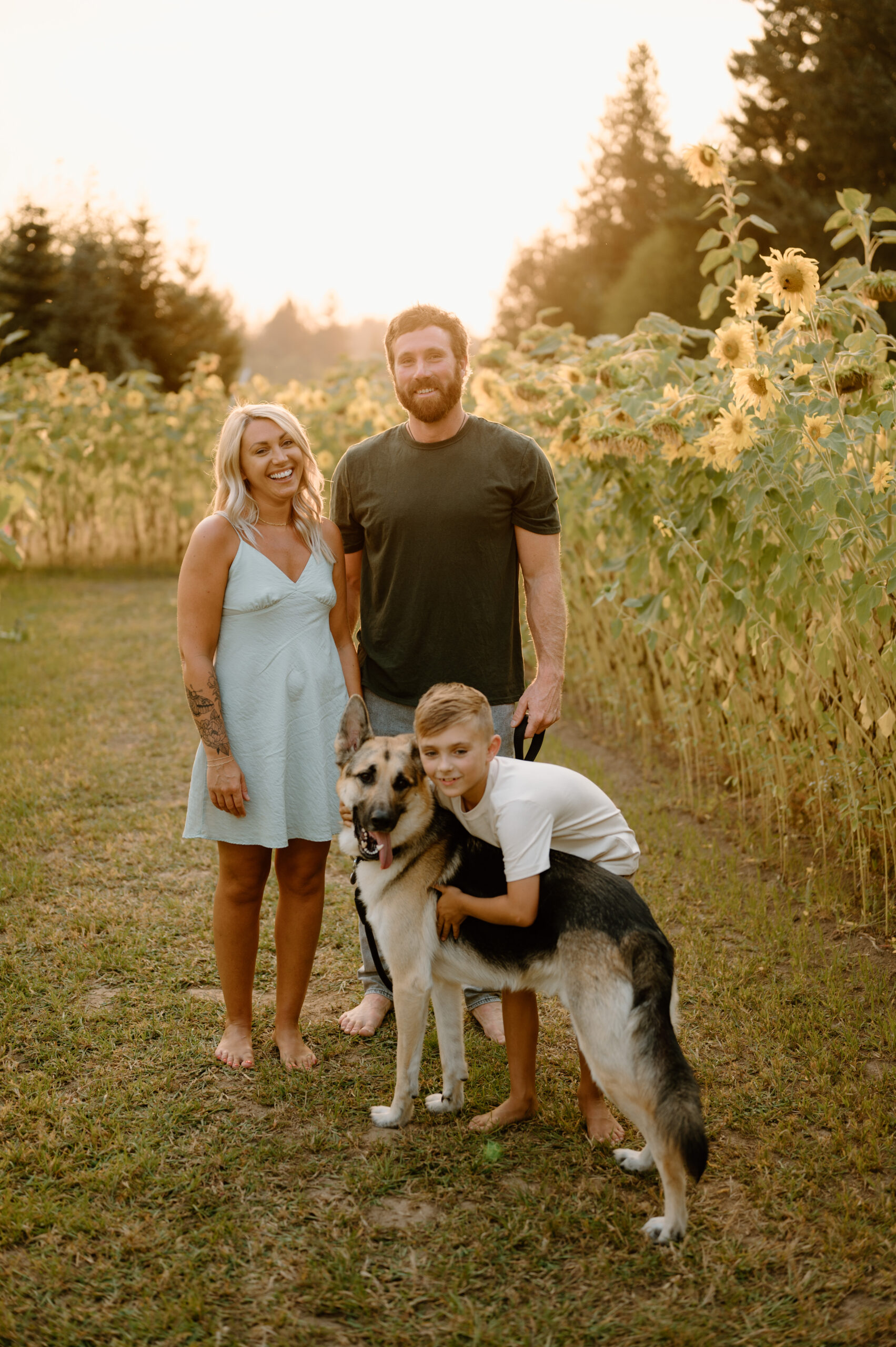 Washington Family Photographer, Summer Photography, Sunflowers, family of three, golden hour, Family Fashion, family portraits with a dog, german Shepherd.