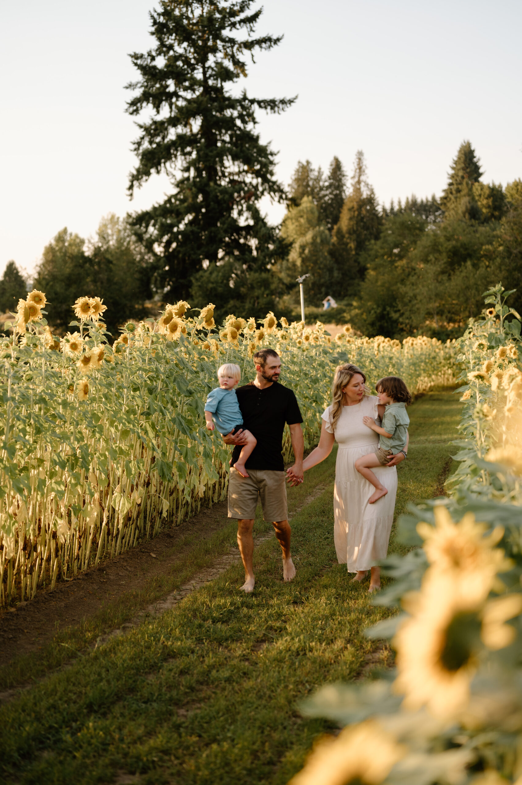 Family Photography, Sunflower Family Photos Vancouver wa family photographer, Summer, SW Washington, Portland Oregon Family Photographer