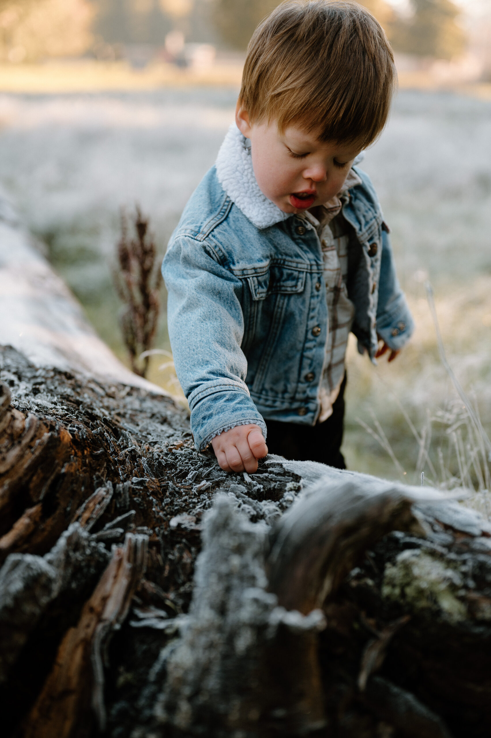 Fall family photos Vancouver Washington, Portland Or Family Photographer, what to wear family pictures, PNW, tattooed family