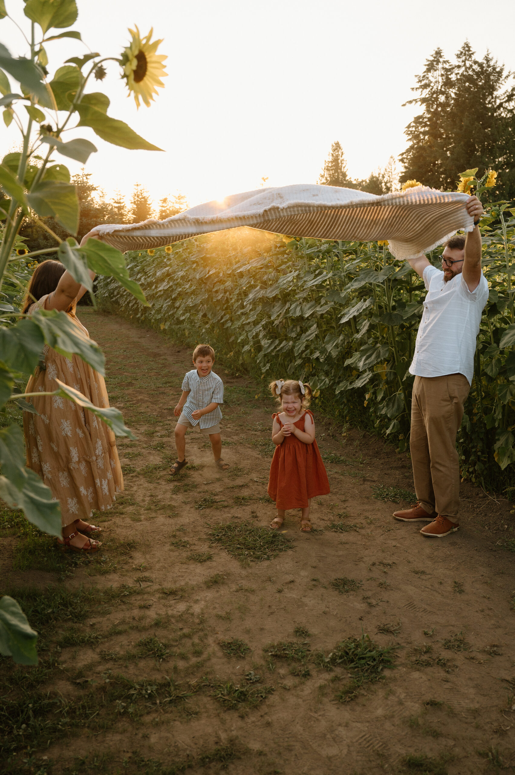Sunflowers family photograph by Vancouver, Washington Family Photographer 