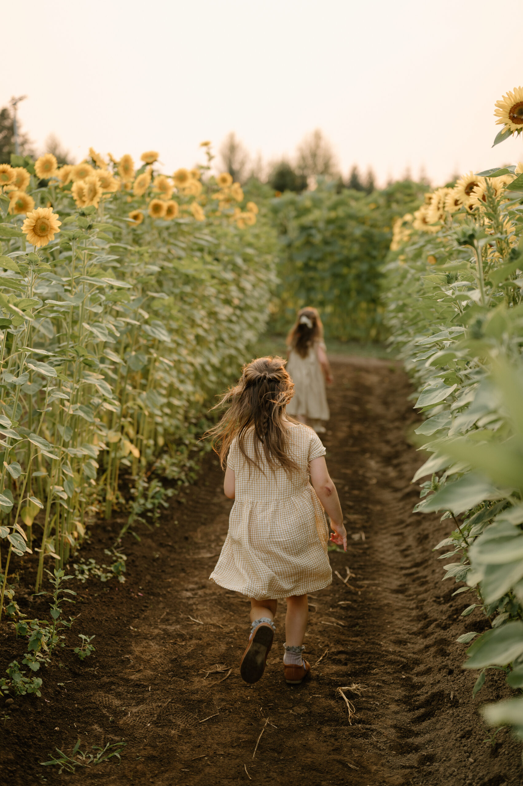 Sunflowers family photograph by Vancouver, Washington family photographer