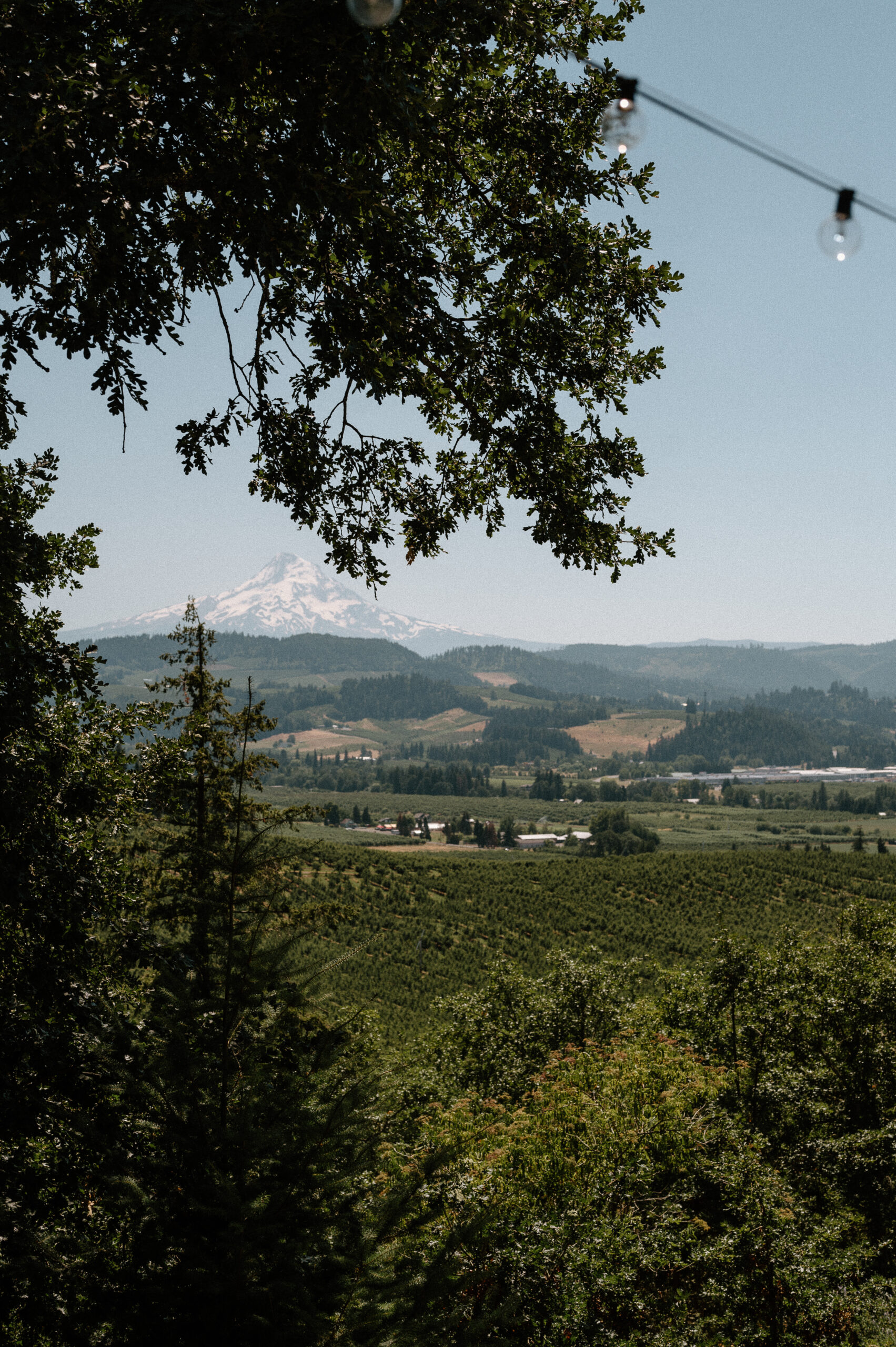 Crag Rat Hut Portland area wedding venue taken by Portland Wedding Photographer. 