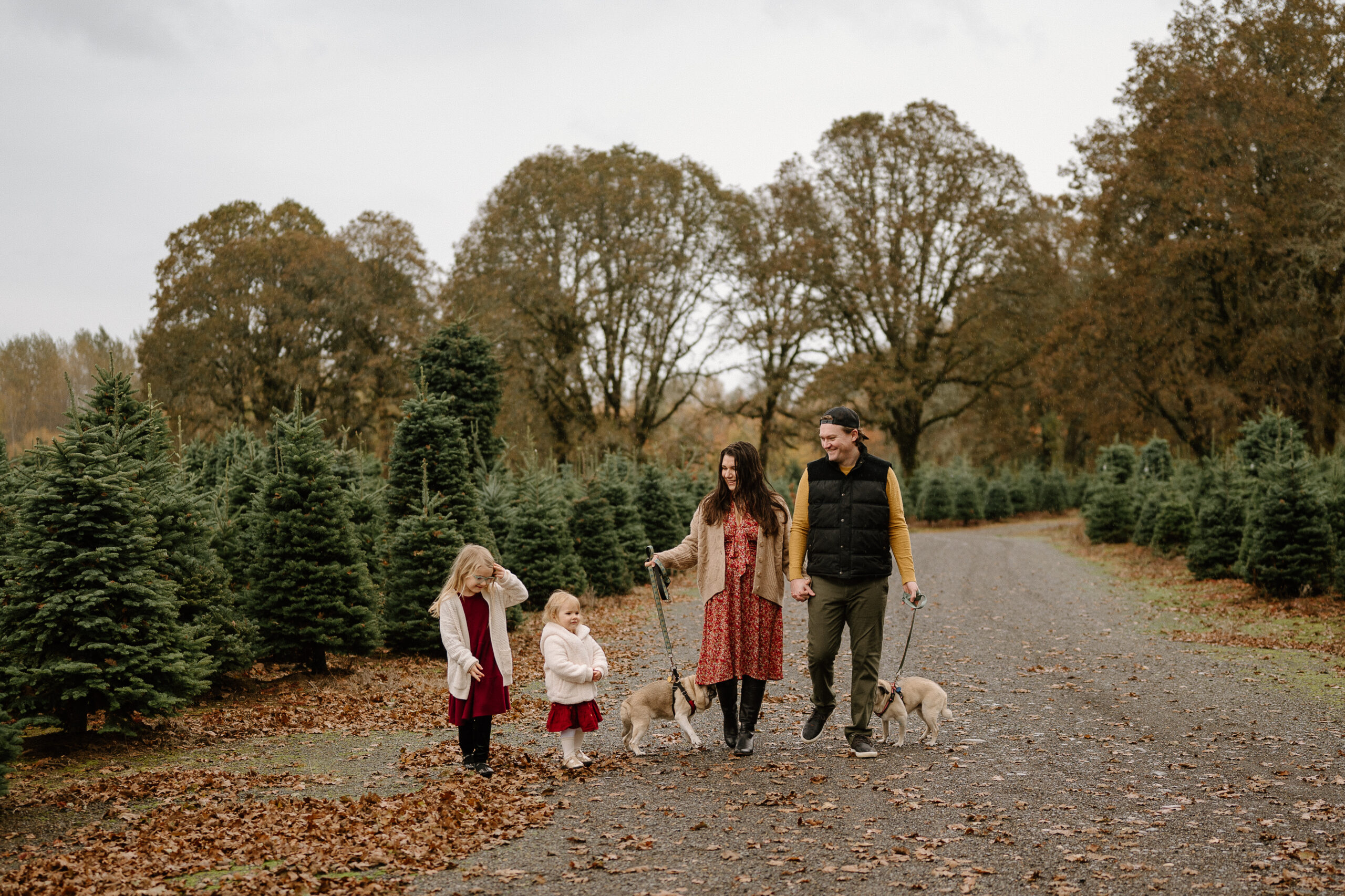 Christmas tree farm family photograph by Vancouver, Washington family photographer 