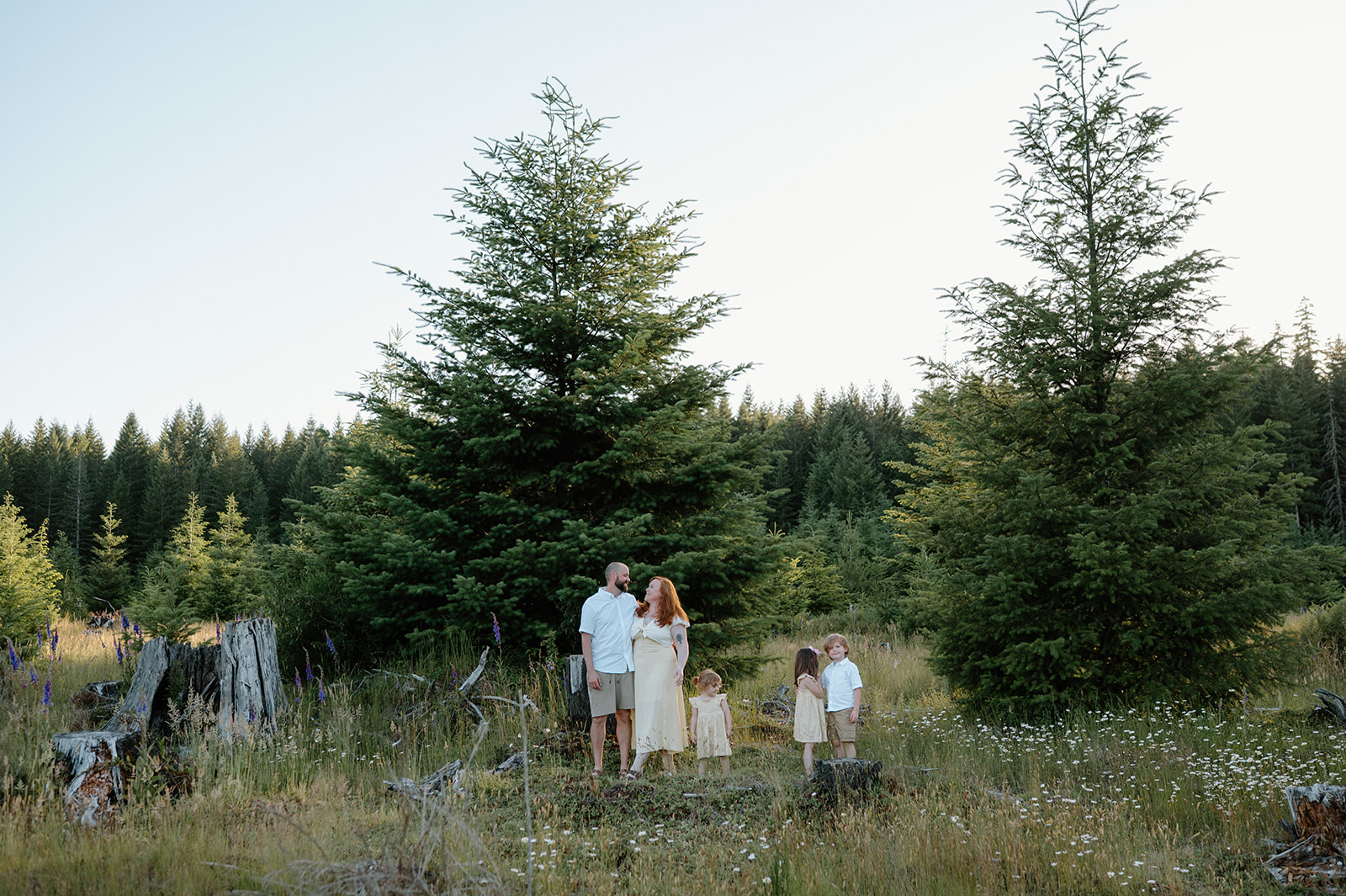 Family portrait in the woods taken at Golden Hour by PNW Family Photographer.