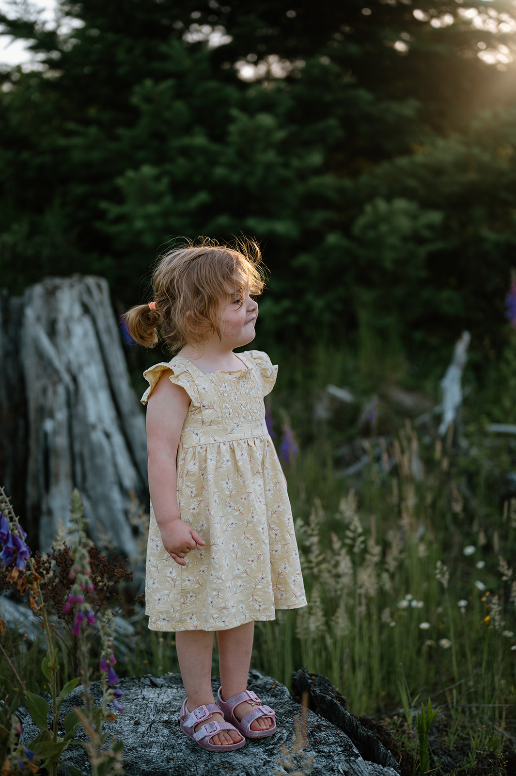 Portrait taken by Vancouver, Washington family photographer.